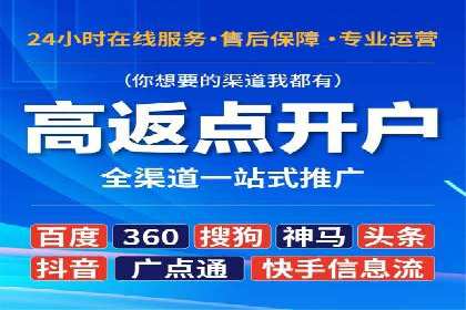 行业领先SEM服务公司案例研究